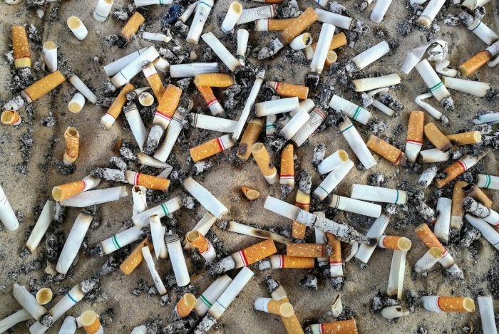 烟草弃置物污染环境并来巨大经济负担